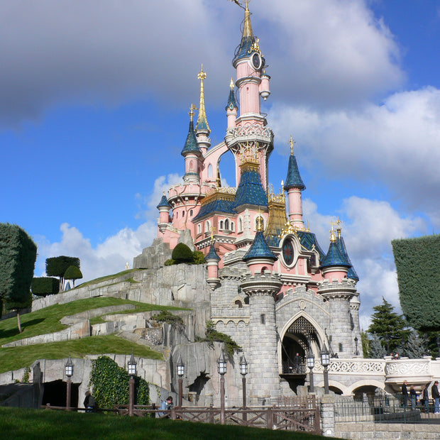 Airport & Disneyland Transfer